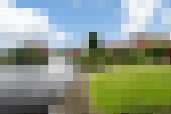 Wetterbies 15 Koudum thumbnail 44