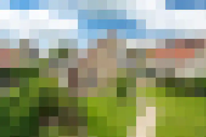 Wetterbies 15 Koudum thumbnail 47