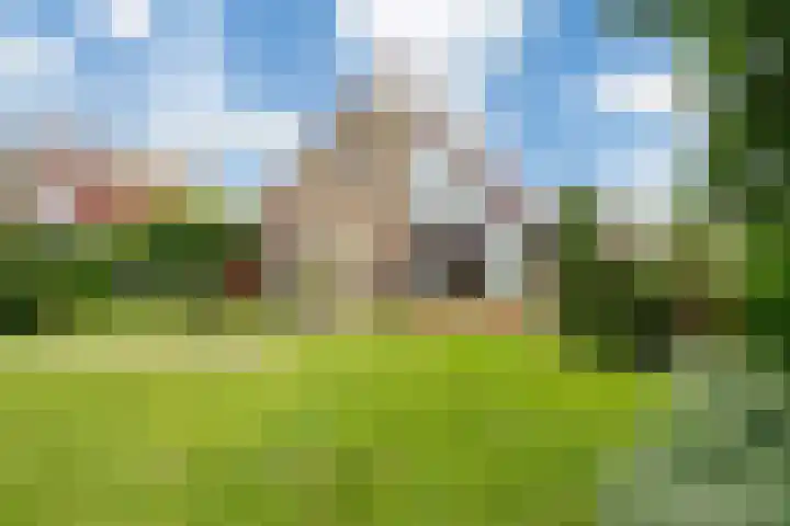 Wetterbies 15 Koudum thumbnail 48