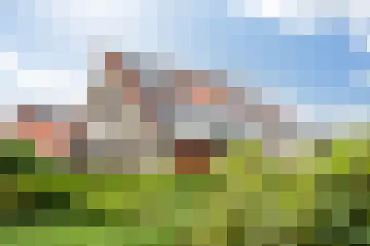 Wetterbies 15 Koudum thumbnail 5