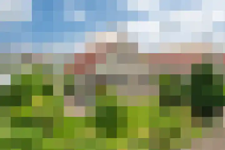 Wetterbies 15 Koudum thumbnail 7