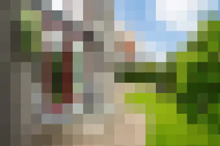 Wetterbies 15 Koudum thumbnail 8