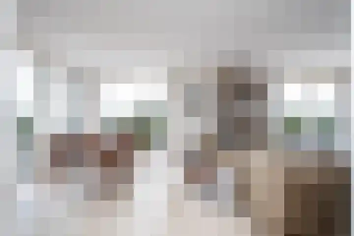 Wetterbies 18 Koudum thumbnail 11