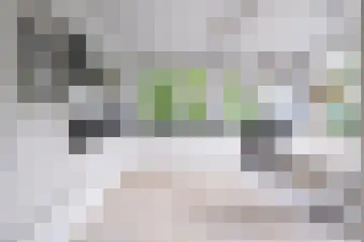 Wetterbies 18 Koudum thumbnail 13