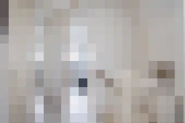 Wetterbies 18 Koudum thumbnail 19