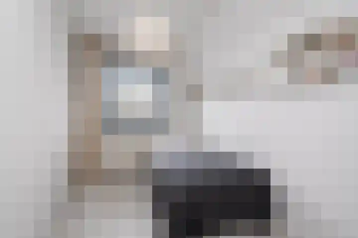 Wetterbies 18 Koudum thumbnail 22
