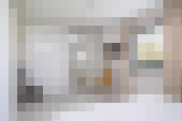 Wetterbies 18 Koudum thumbnail 26