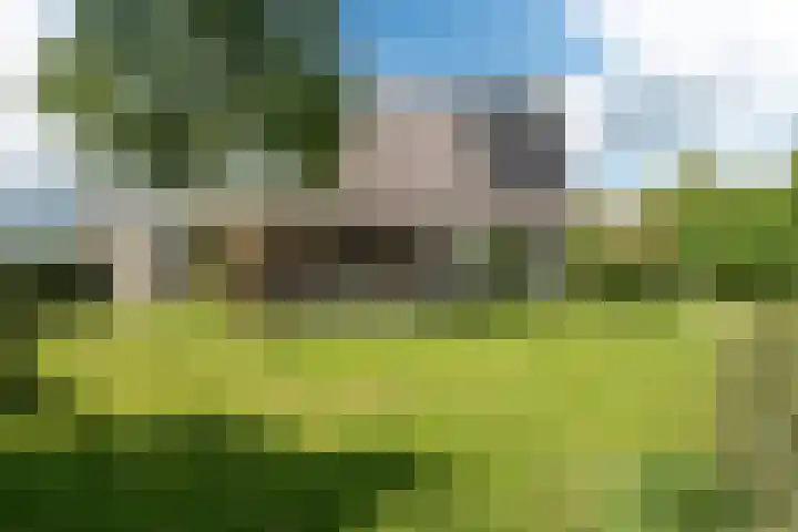 Wetterbies 18 Koudum thumbnail 28