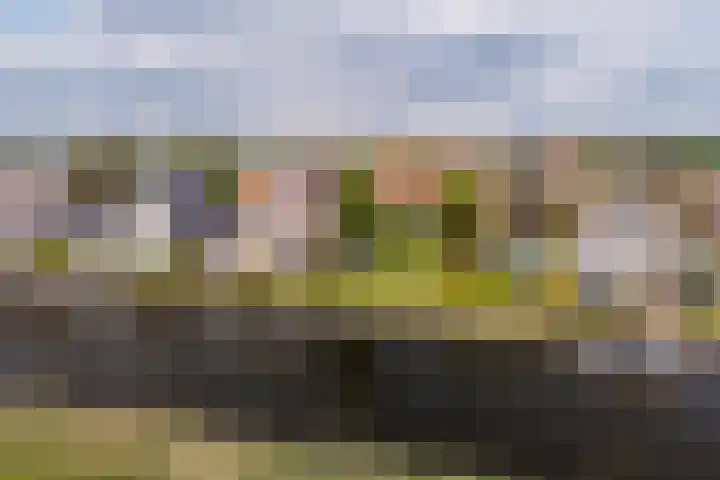Wetterbies 18 Koudum thumbnail 36