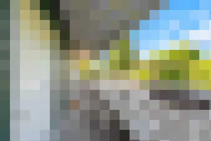 Wevelsweg 15 Simonshaven thumbnail 18