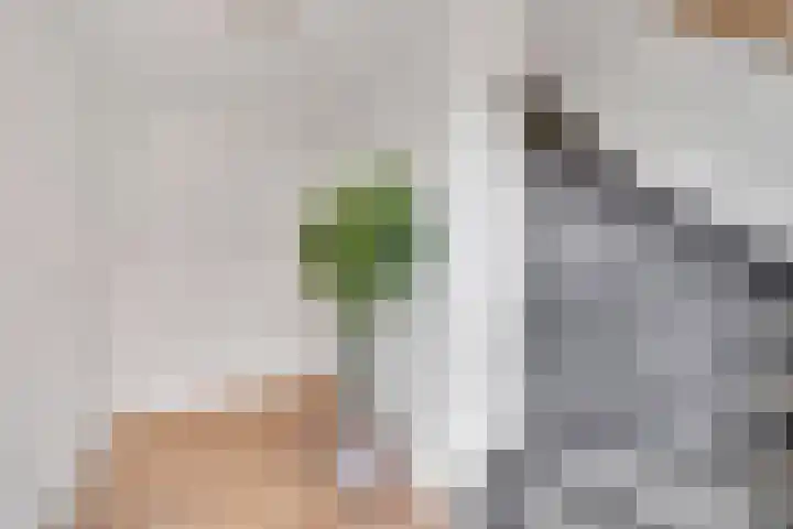 Wevelsweg 15 Simonshaven thumbnail 20