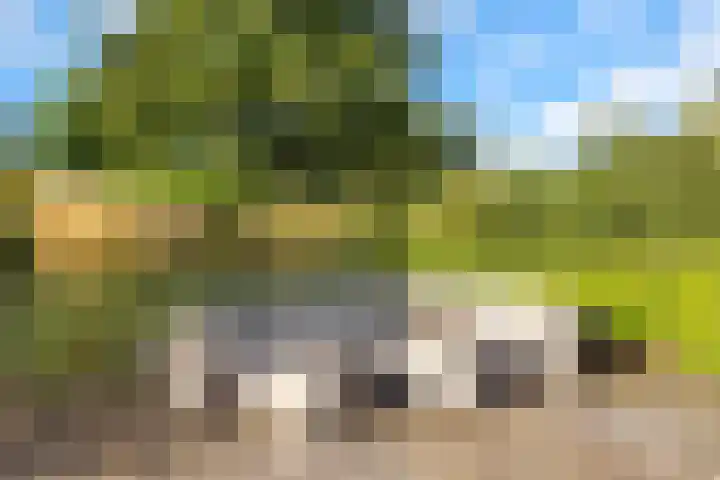 Wevelsweg 15 Simonshaven thumbnail 31