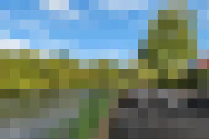Wevelsweg 15 Simonshaven thumbnail 37
