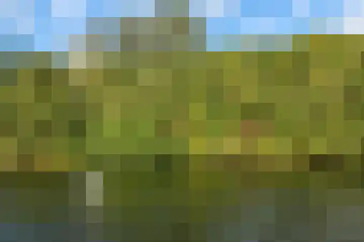 Wevelsweg 15 Simonshaven thumbnail 38