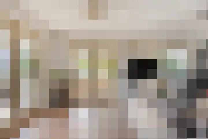 Wevelsweg 2 Simonshaven thumbnail 12