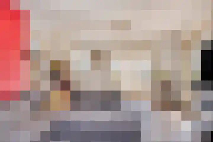 Wevelsweg 2 Simonshaven thumbnail 15