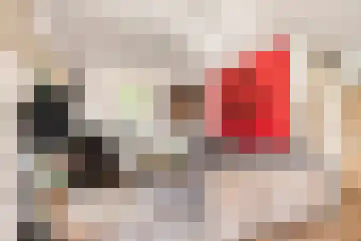 Wevelsweg 2 Simonshaven thumbnail 16