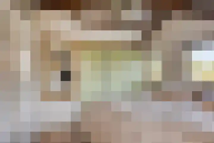 Wevelsweg 2 Simonshaven thumbnail 27