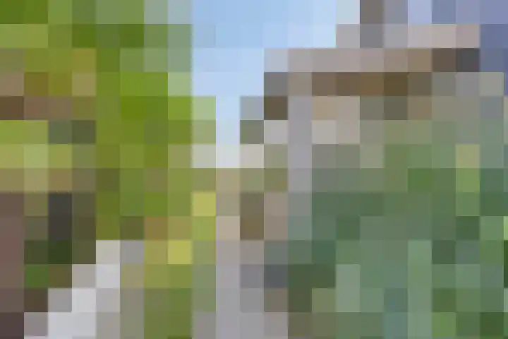 Wevelsweg 2 Simonshaven thumbnail 35