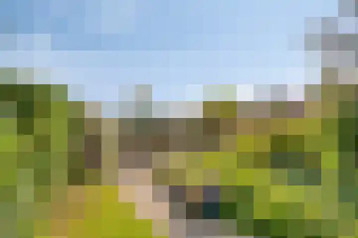 Wevelsweg 2 Simonshaven thumbnail 37