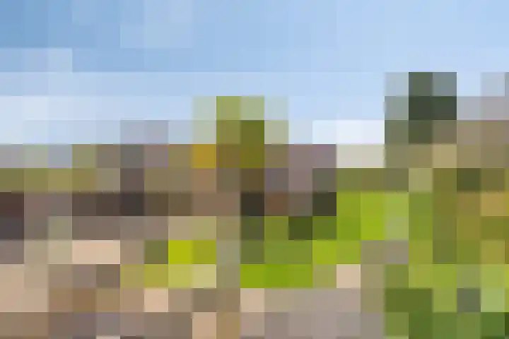 Wevelsweg 2 Simonshaven thumbnail 38