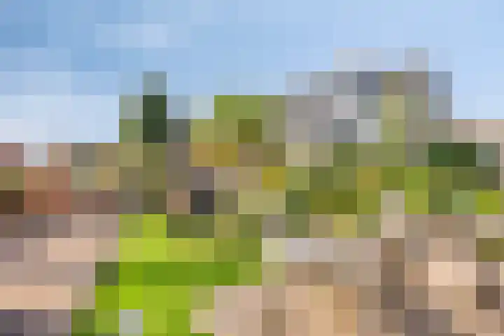 Wevelsweg 2 Simonshaven thumbnail 39