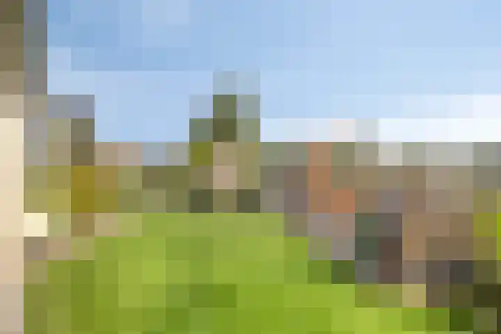 Wevelsweg 2 Simonshaven thumbnail 40