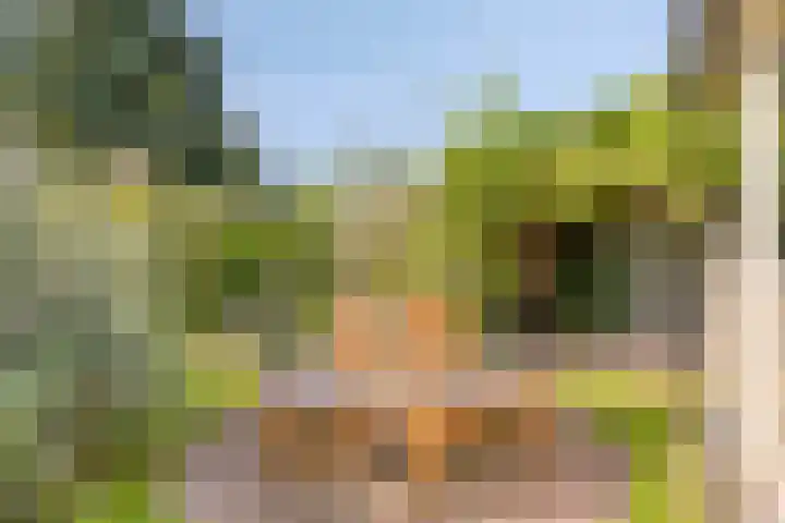 Wevelsweg 2 Simonshaven thumbnail 41