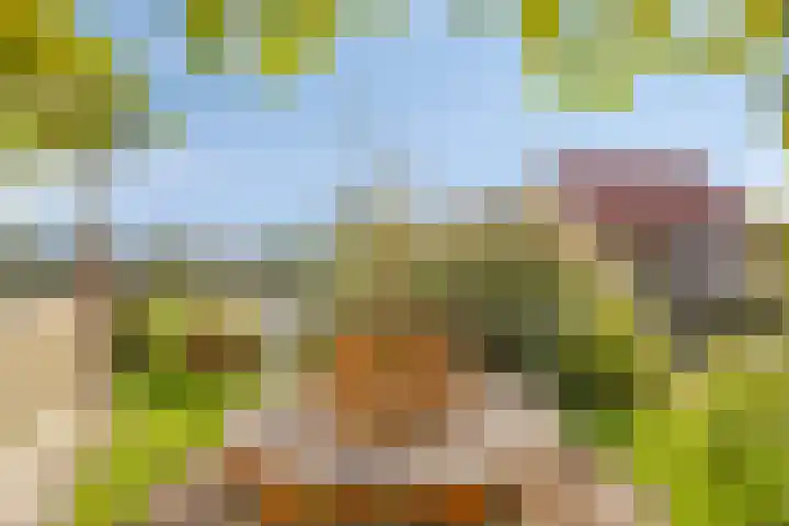 Wevelsweg 2 Simonshaven thumbnail 42