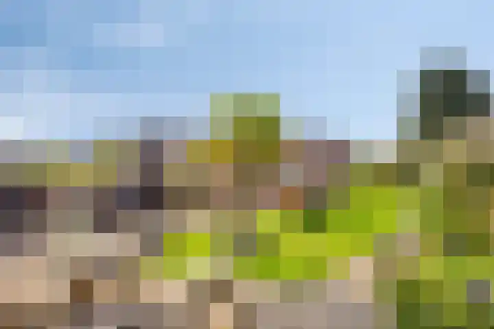 Wevelsweg 2 Simonshaven thumbnail 46