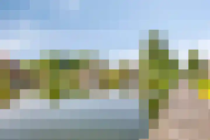 Wevelsweg 2 Simonshaven thumbnail 48