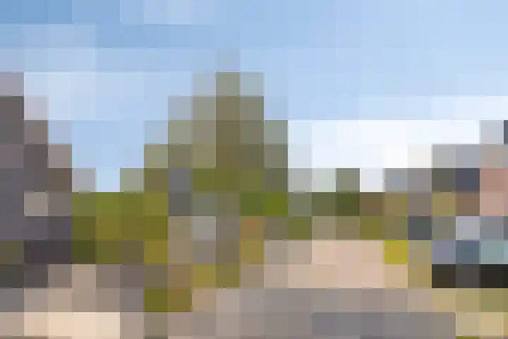 Wevelsweg 2 Simonshaven thumbnail 5