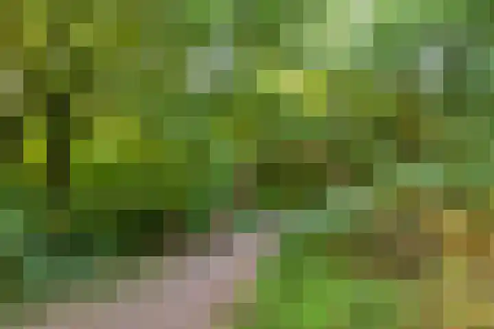 Wevelsweg 2 Simonshaven thumbnail 54