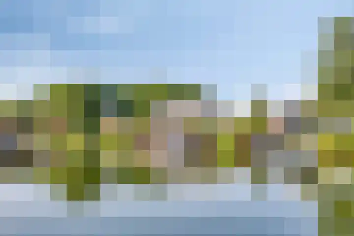 Wevelsweg 2 Simonshaven thumbnail 61