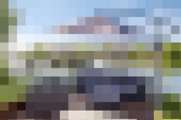 Wevelsweg 316 Simonshaven thumbnail 35