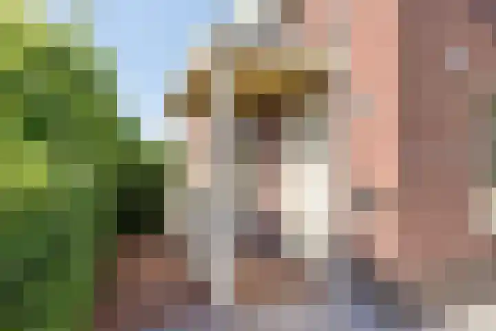 Wevelsweg 316 Simonshaven thumbnail 5