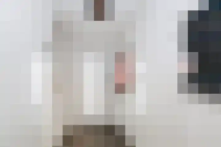 Wevelsweg 47 Simonshaven thumbnail 11