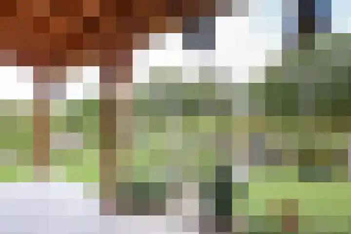 Wevelsweg 47 Simonshaven thumbnail 35