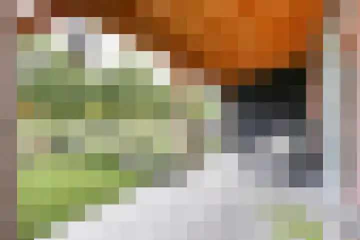 Wevelsweg 47 Simonshaven thumbnail 37