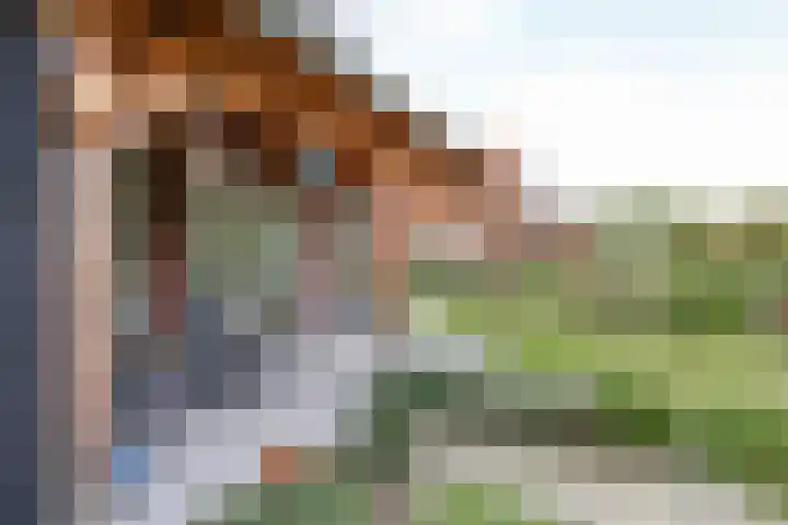 Wevelsweg 47 Simonshaven thumbnail 38