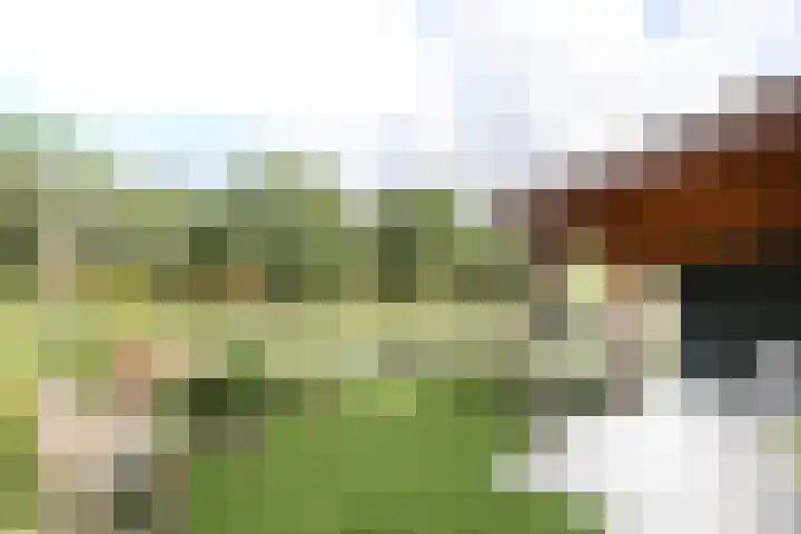 Wevelsweg 47 Simonshaven thumbnail 39