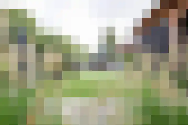 Wevelsweg 47 Simonshaven thumbnail 41
