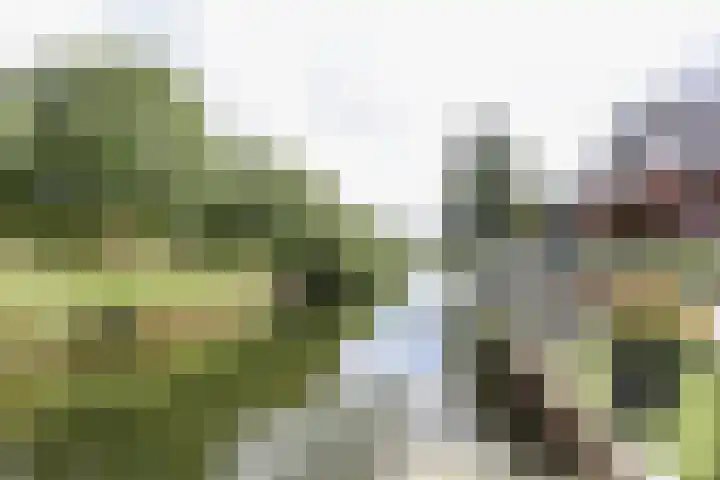 Wevelsweg 47 Simonshaven thumbnail 47