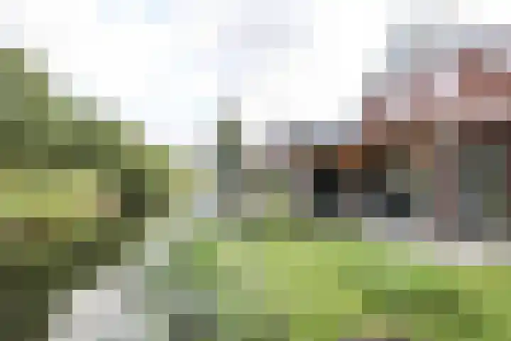 Wevelsweg 47 Simonshaven thumbnail 48
