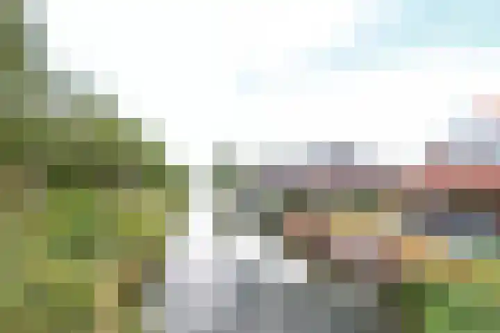 Wevelsweg 47 Simonshaven thumbnail 50