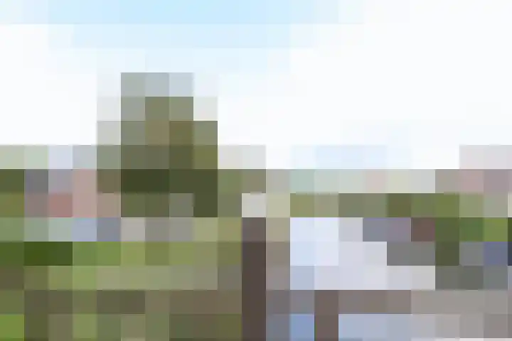 Wevelsweg 47 Simonshaven thumbnail 51
