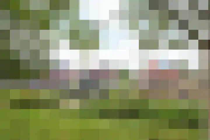 Wevelsweg 47 Simonshaven thumbnail 52