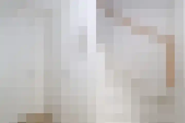 Wevelsweg 47 Simonshaven thumbnail 8