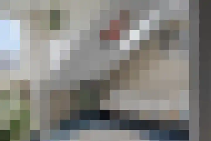 Wever 16 Best thumbnail 28