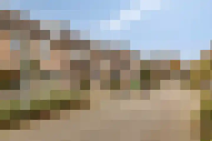 Wever 16 Best thumbnail 35